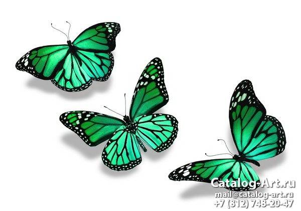  Butterflies 53
